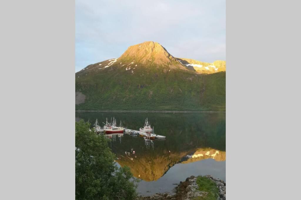 Waterfront Senja 3 Apartman Torsken Kültér fotó