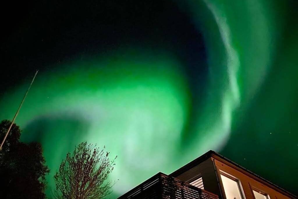 Waterfront Senja 3 Apartman Torsken Kültér fotó