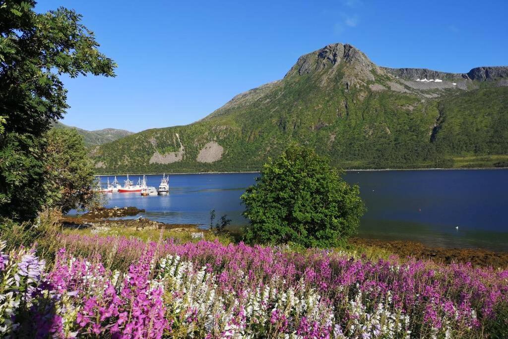 Waterfront Senja 3 Apartman Torsken Kültér fotó
